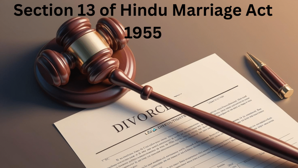 section 13 of hindu marriage act 1955